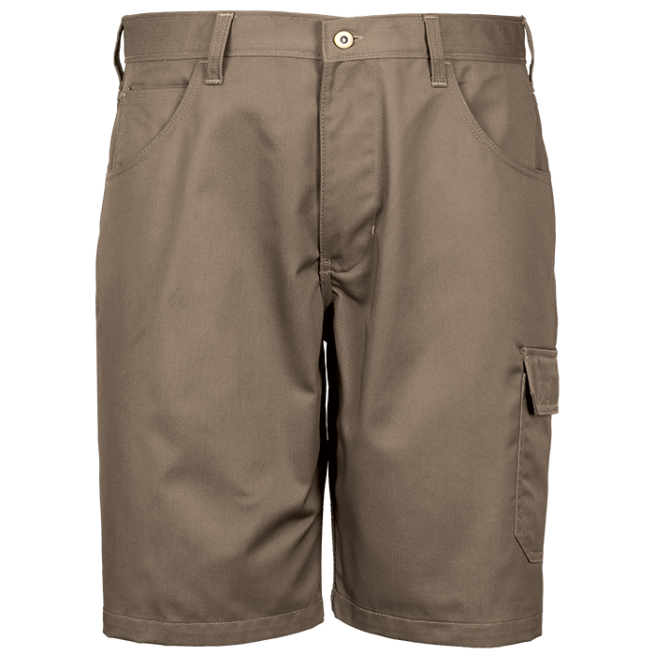 Rogue Shorts