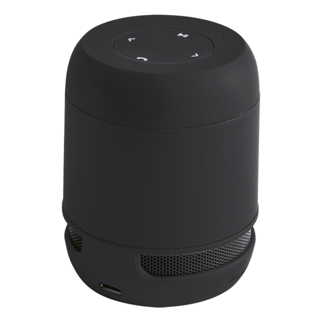 Braiss Bluetooth Speaker
