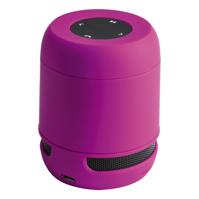 Braiss Bluetooth Speaker